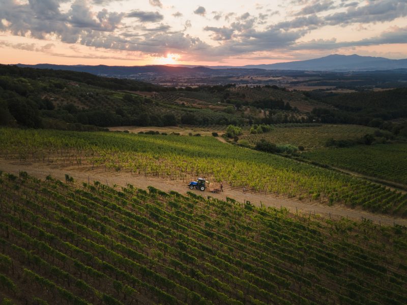 view of winery fields
