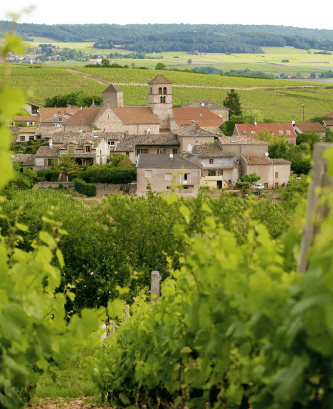 Davaye, one of the Macon villages close to Fuisse.