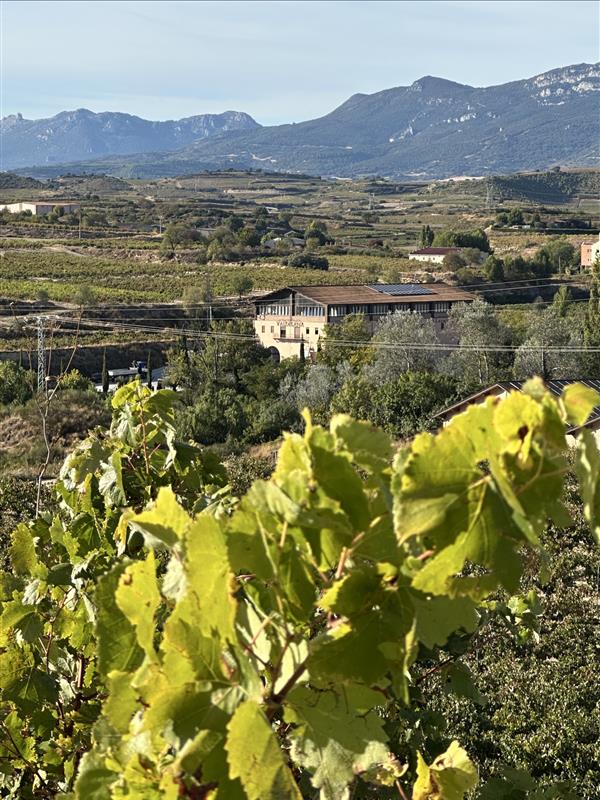 Valdelana winery