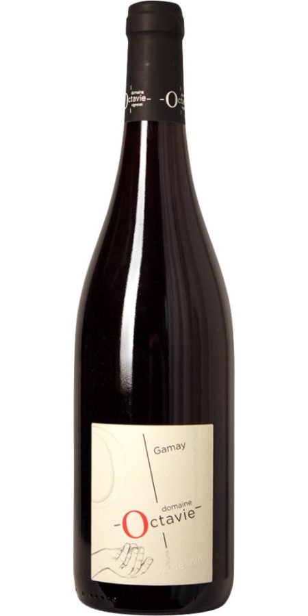 Gamay, AOC Touranie