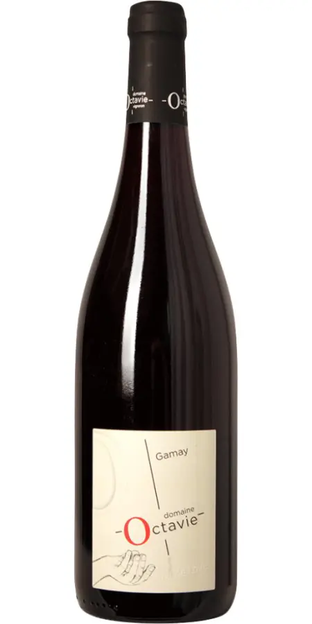 Gamay, AOC Touranie